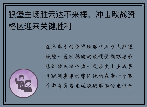 狼堡主场胜云达不来梅，冲击欧战资格区迎来关键胜利